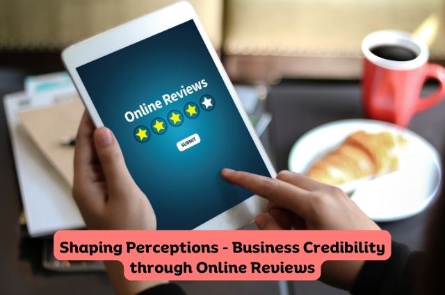 Unleashing the Potential of Online Reviews
